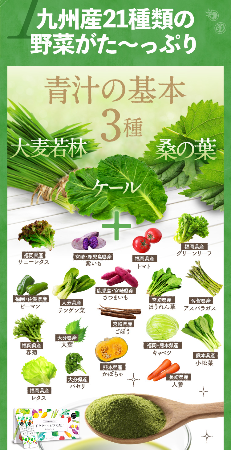 1.九州産21種類の野菜がた～っぷり