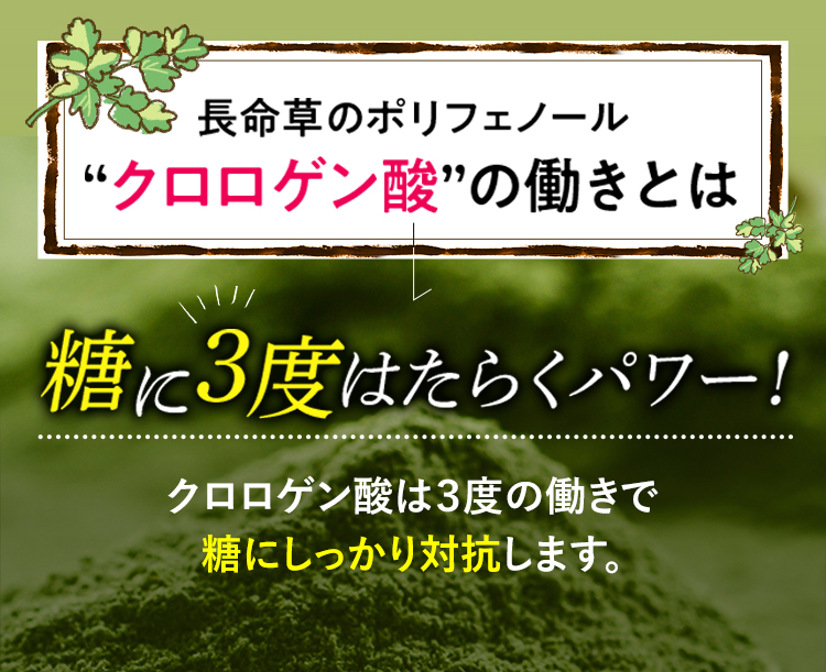 長命草のポリフェノール”クロロゲン酸”のはたらきとは。糖に3度はたらくパワー！3度のはたらきで糖にしっかり対抗します。