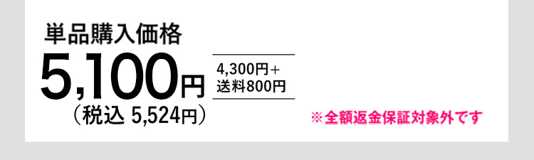 単品購入価格 5,100円(税込 5,524円)