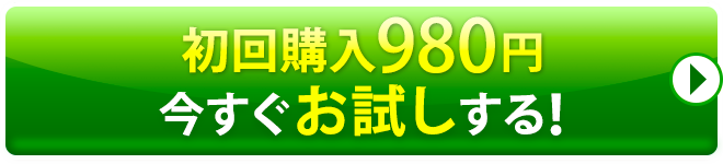 全額返金保証付きで今すぐお試しする