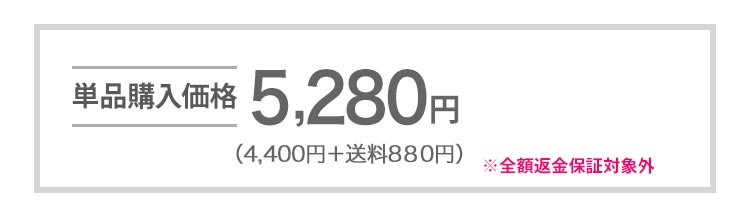 単品購入価格 5,100円(税込 5,524円)