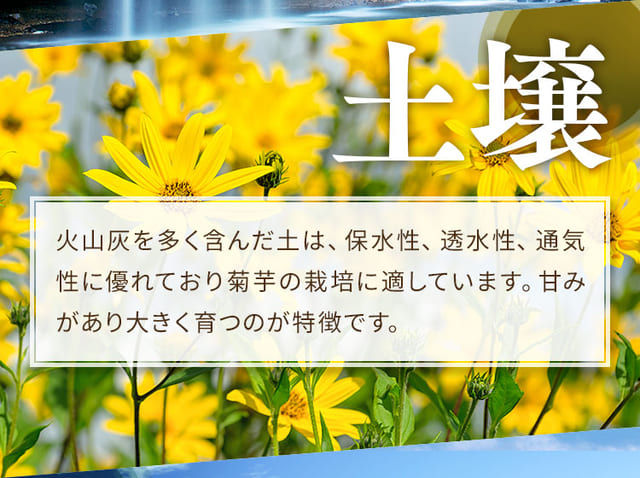 こんこんと湧き出る伏流水は、飲料水としてはもちろん、広大な田畑を潤します。