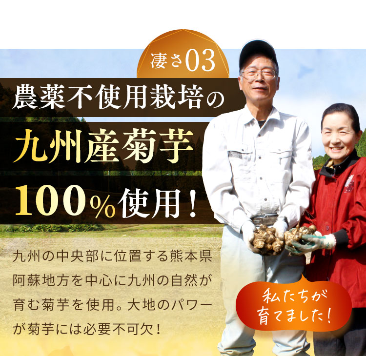 農薬不使用栽培の九州産菊芋100%使用！