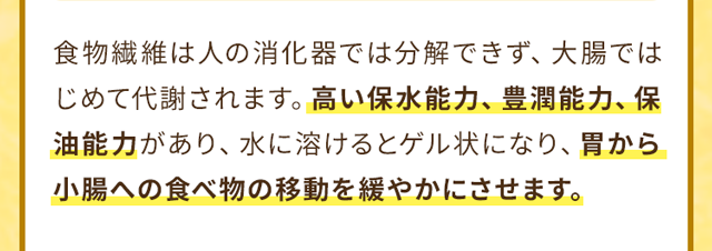 胃から小腸への食べ物の移動を緩やかにさせます。